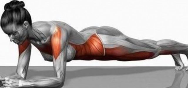 INWELLNESS: Allenamento del core e The Plank